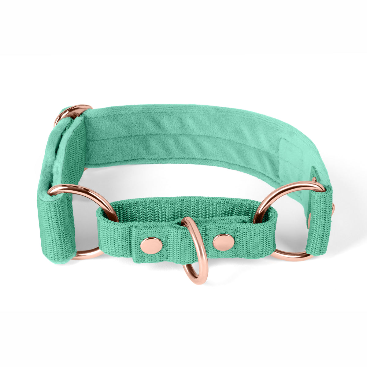 Martingale Pink Edition Rosa - Collar forrado doblado medio planchado