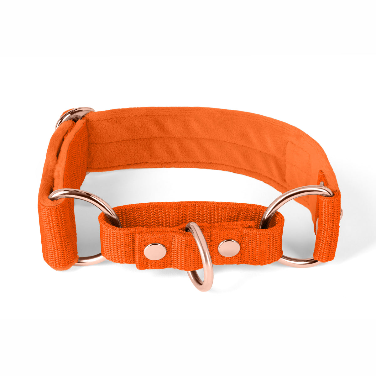 Martingale Pink Edition Rosa - Collar forrado doblado medio planchado