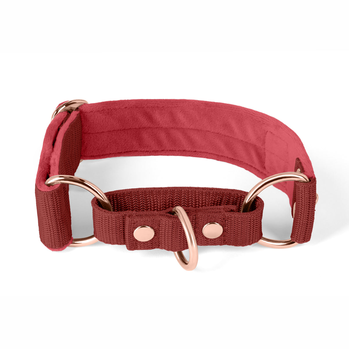 Martingale Pink Edition Rosa - Collar forrado doblado medio planchado