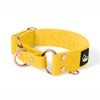 Martingale Pink Edition Rosa - Collar forrado doblado medio planchado