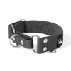 Martingale Black - Collar ancho forrado medio planchable