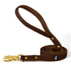 Walk Leash Dark Brown Gold - Correa de nylon segura en diferentes longitudes