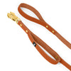 Guard Leash Golden Edition Burned Orange - Correa Guard con asa adicional