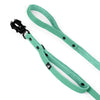 Guard Leash Black Edition Mint - Correa Guard con asa extra