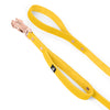 Guard Leash Rose Edition Pastel Blue - Correa Guard con asa adicional