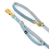 Correa Multi Guard Golden Baby Blue - Correa Multi Guard
