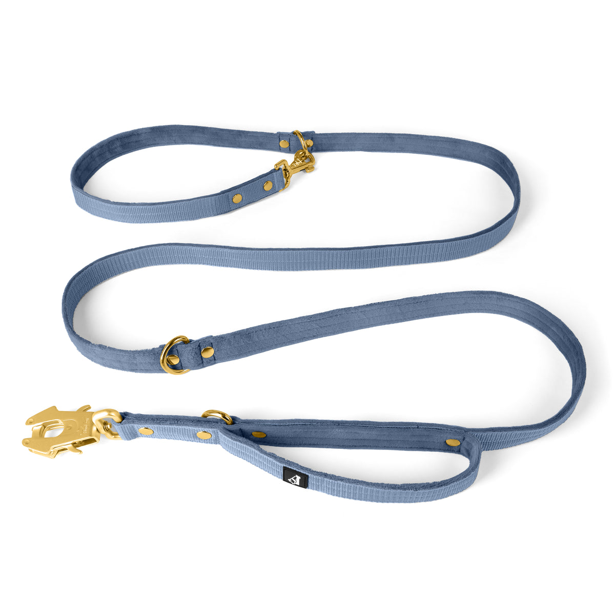 Correa Multi Guard Golden Plum - Correa Multi Guard