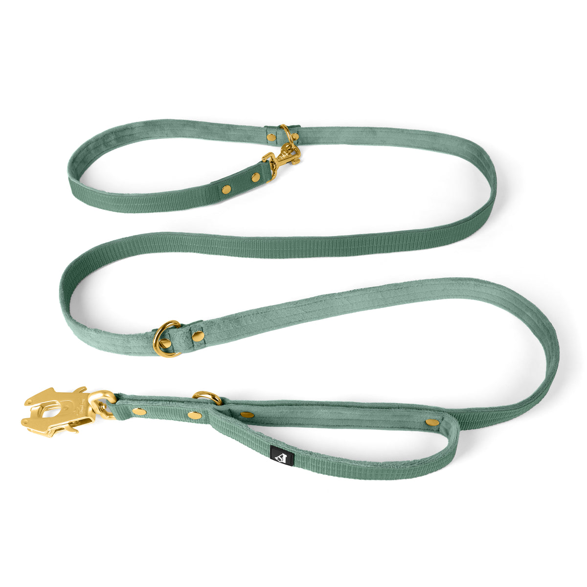 Correa Multi Guard Golden Plum - Correa Multi Guard