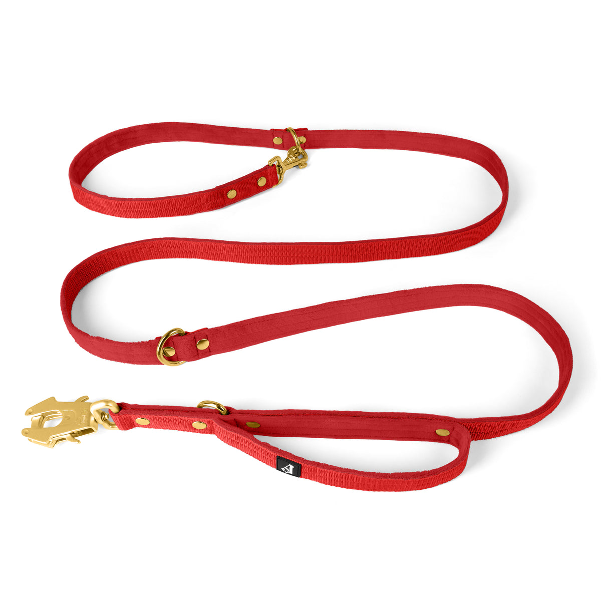 Correa Multi Guard Golden Plum - Correa Multi Guard