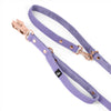 Correa Multi Guard Rose Edition Pastel Blue - Correa Multi Guard