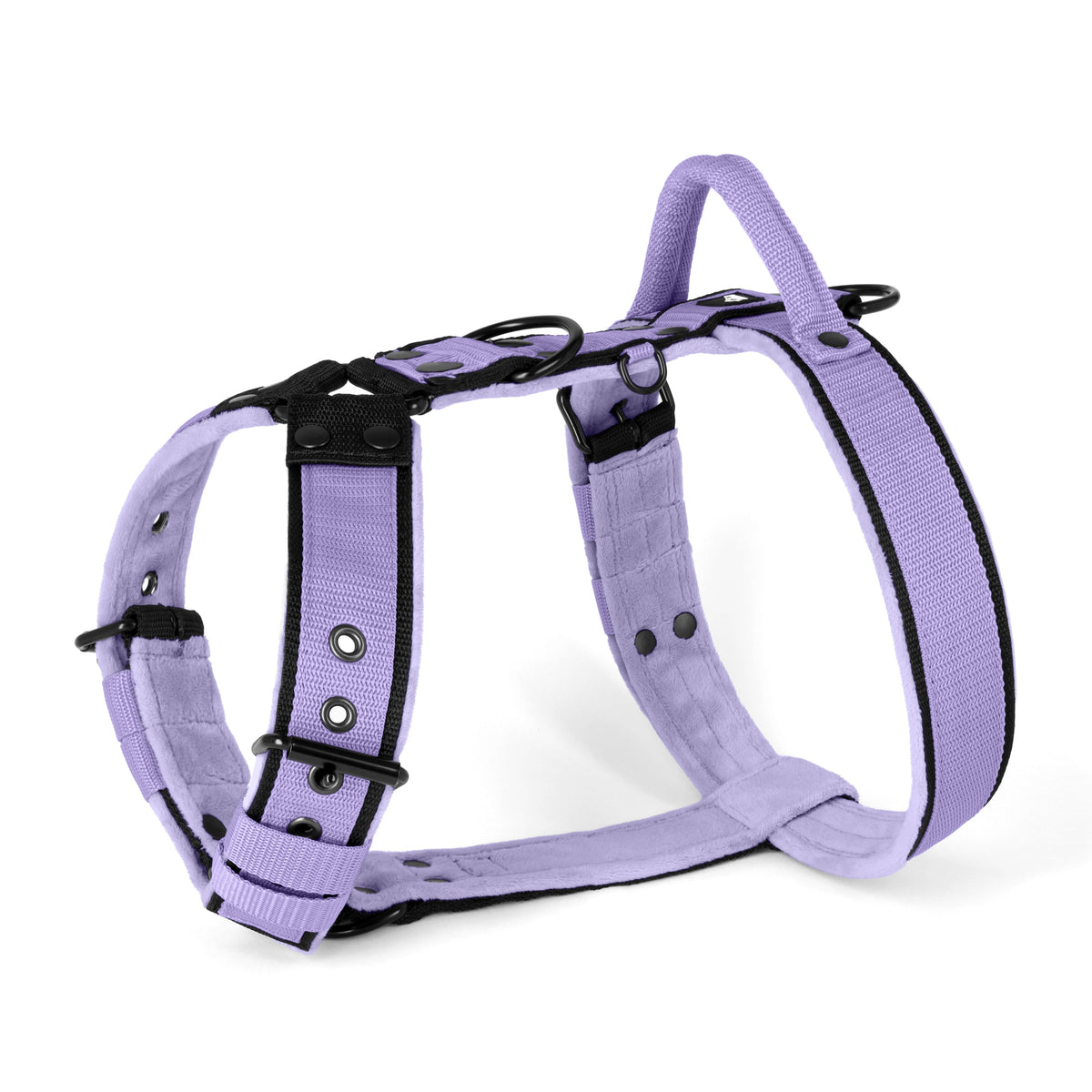 Hundstaff Easy Walk Black Edition Baby Purple