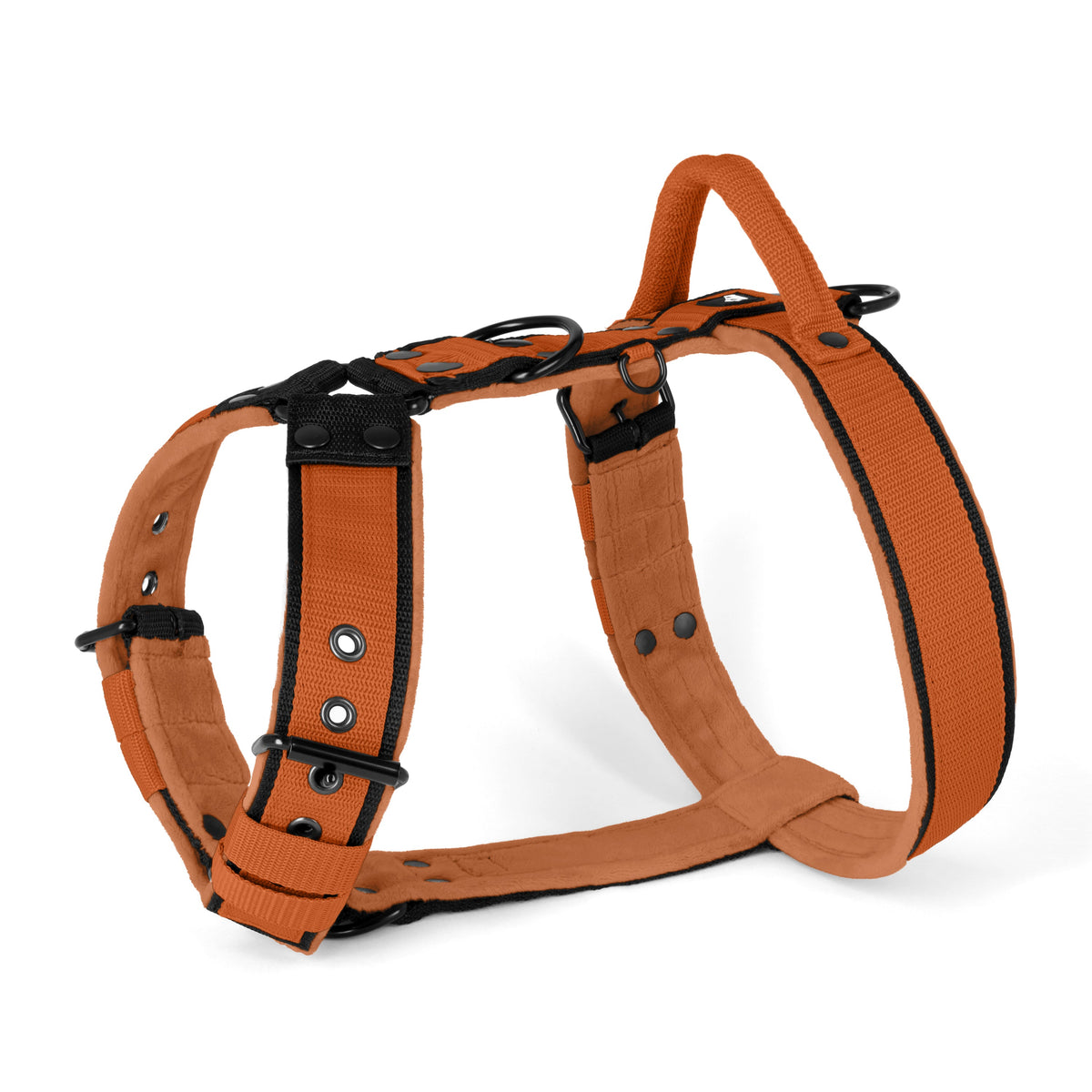 Hundstaff Easy Walk Black Edition Burned Orange