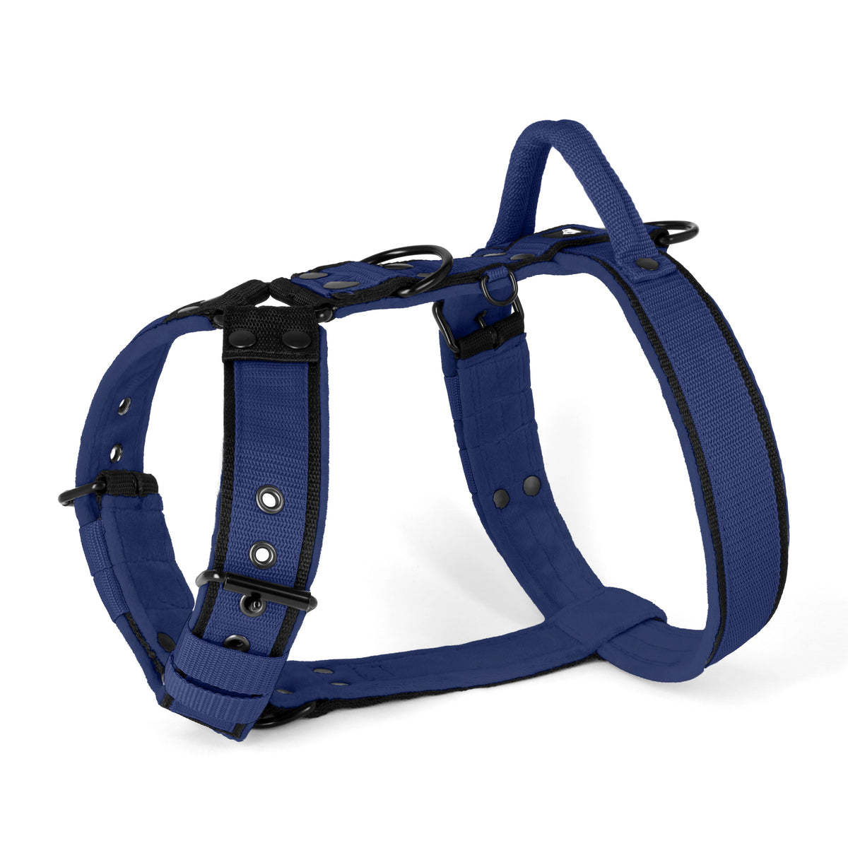 Hundstaff Easy Walk Black Edition Navy Blue