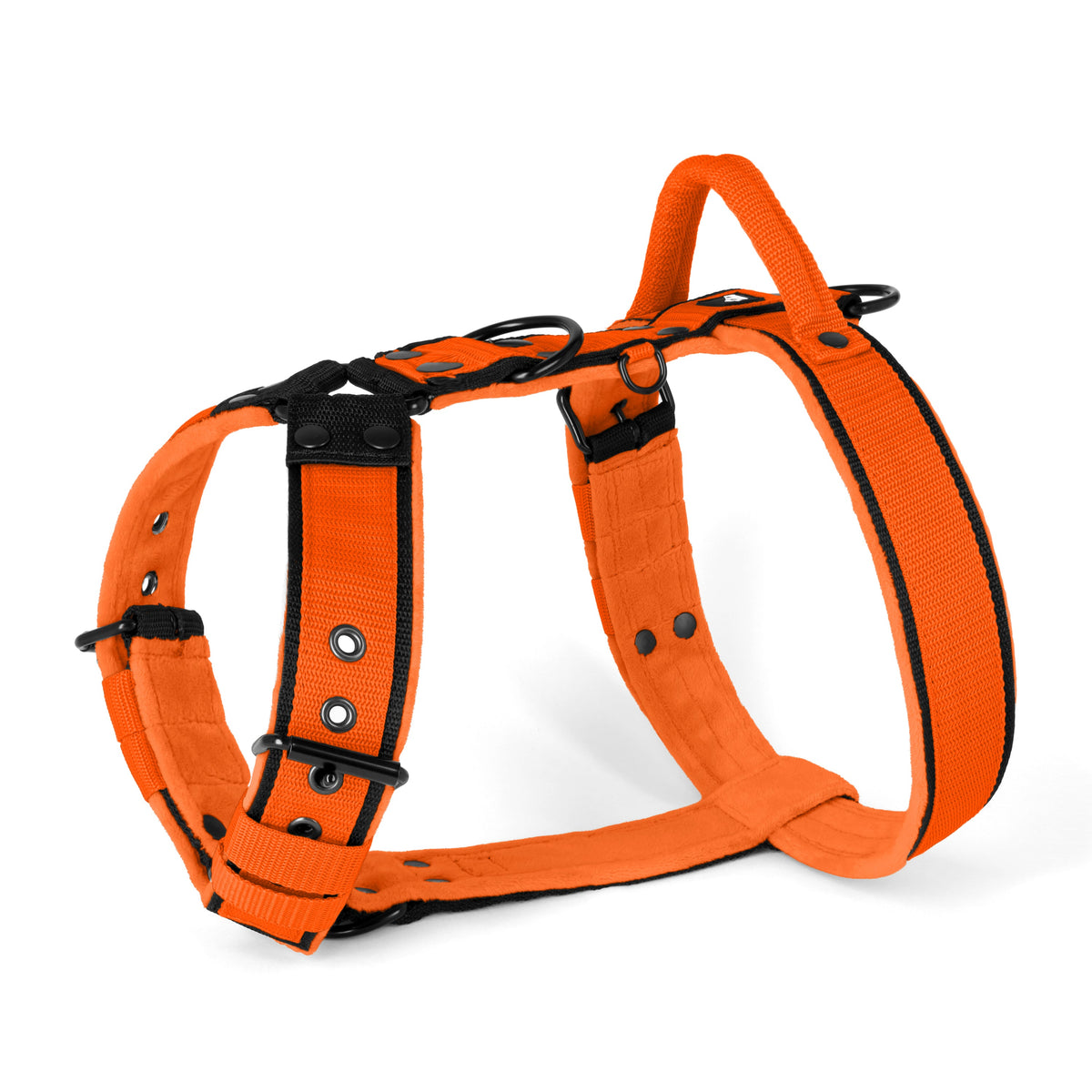 Hundstaff Easy Walk Black Edition Orange