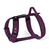 Easy Walk Black Edition Plum - Arnés con asa