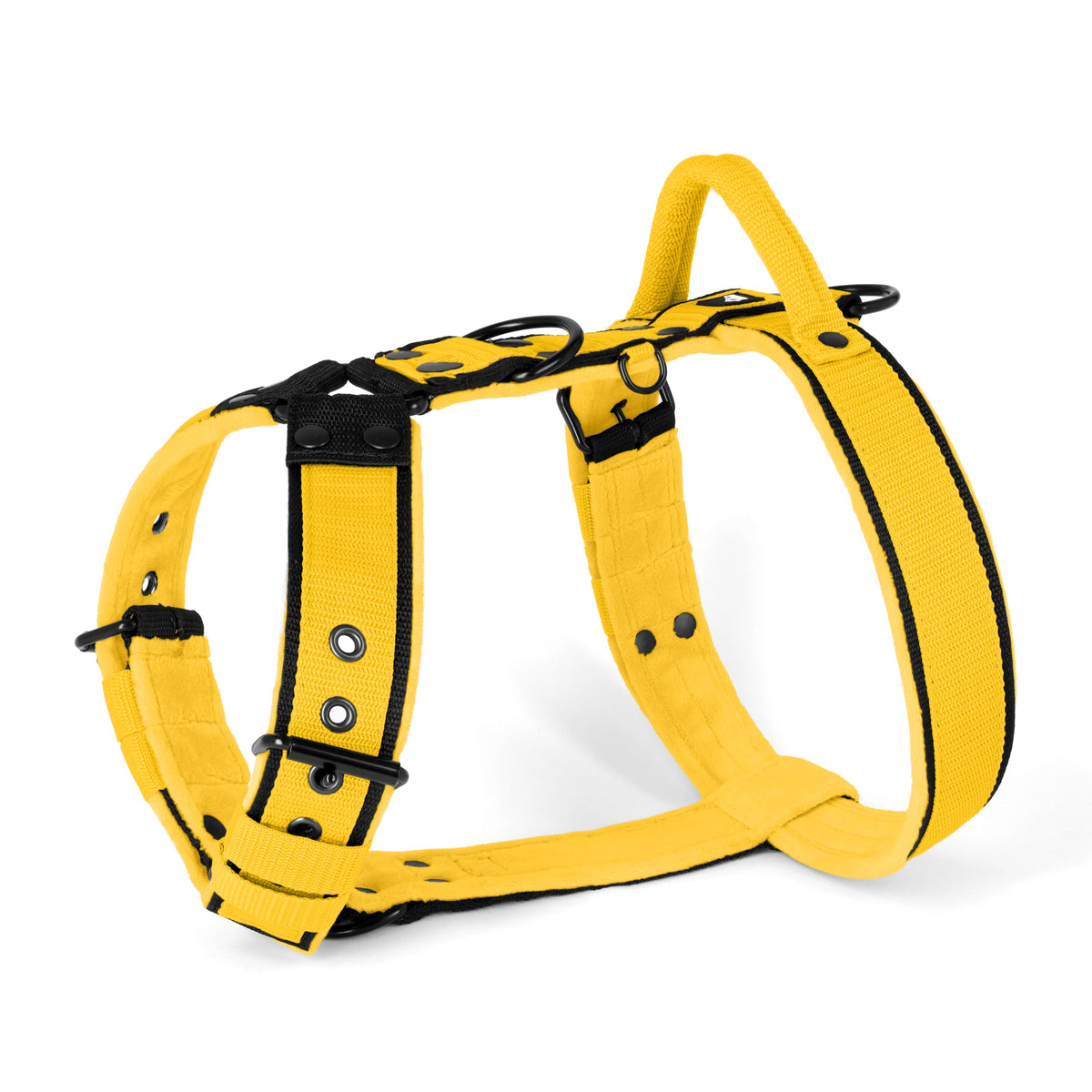 Hundstaff Easy Walk Black Edition Yellow