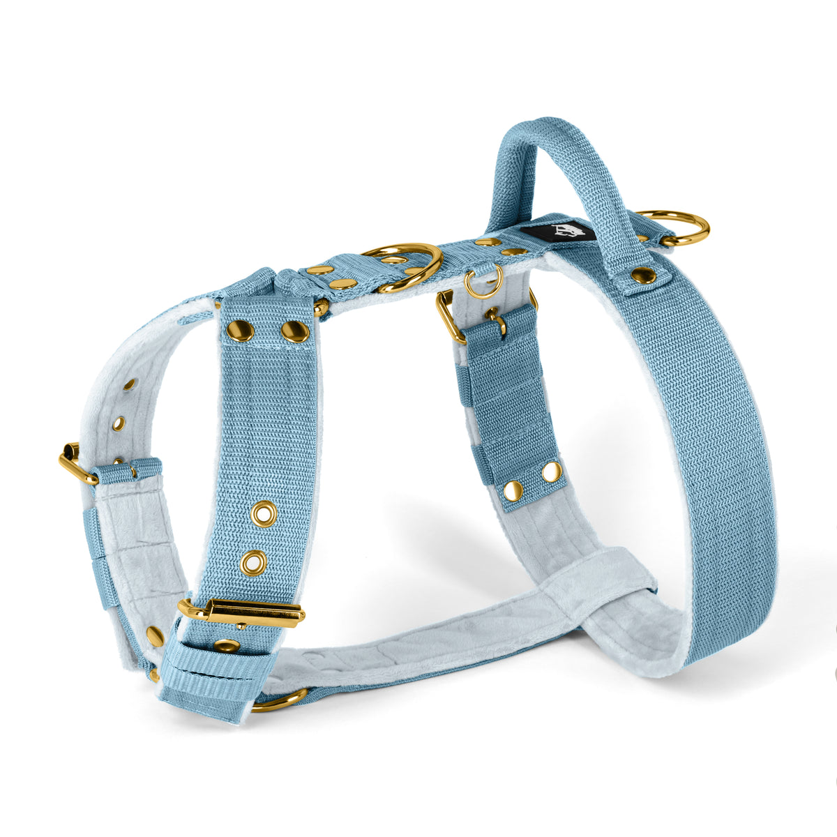 Easy Walk Golden Baby Blue - Arnés con asa