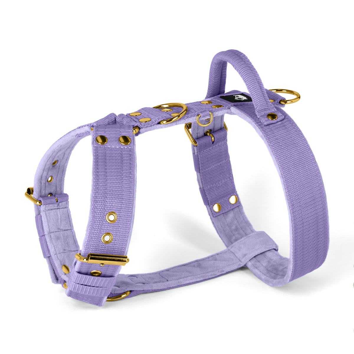 Easy Walk Golden Plum - Arnés con asa