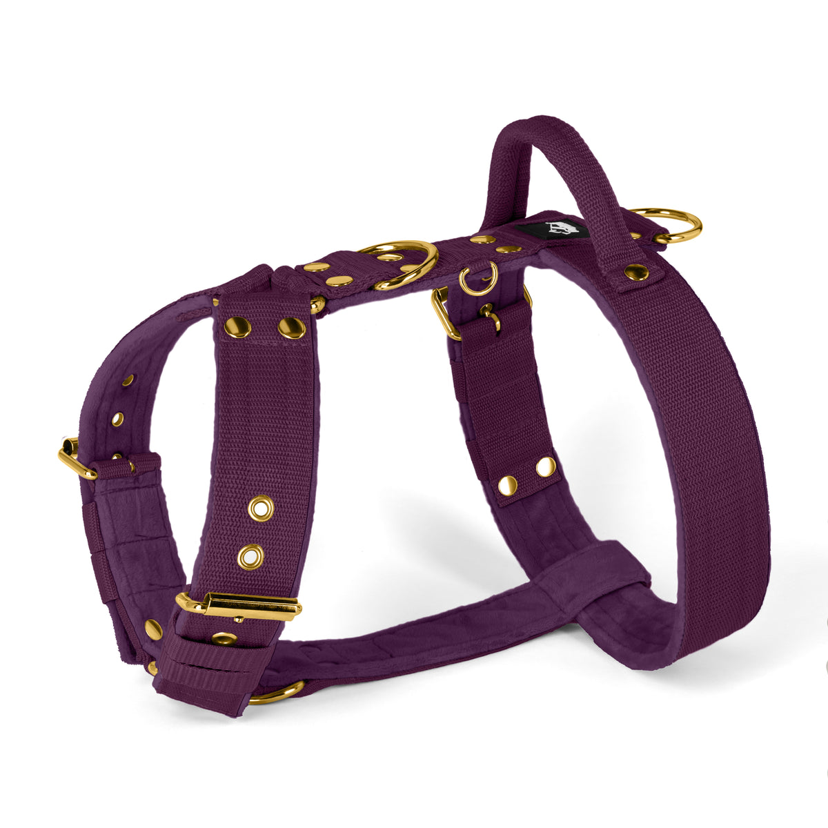 Easy Walk Golden Plum - Arnés con asa