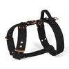 Easy Walk Rose Edition Black - Arnés con asa