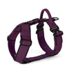 Easy Walk Extreme Black Edition Plum - Arnés con hebilla de liberación rápida