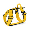 Easy Walk Extreme Black Edition Yellow - Arnés con hebilla de liberación rápida