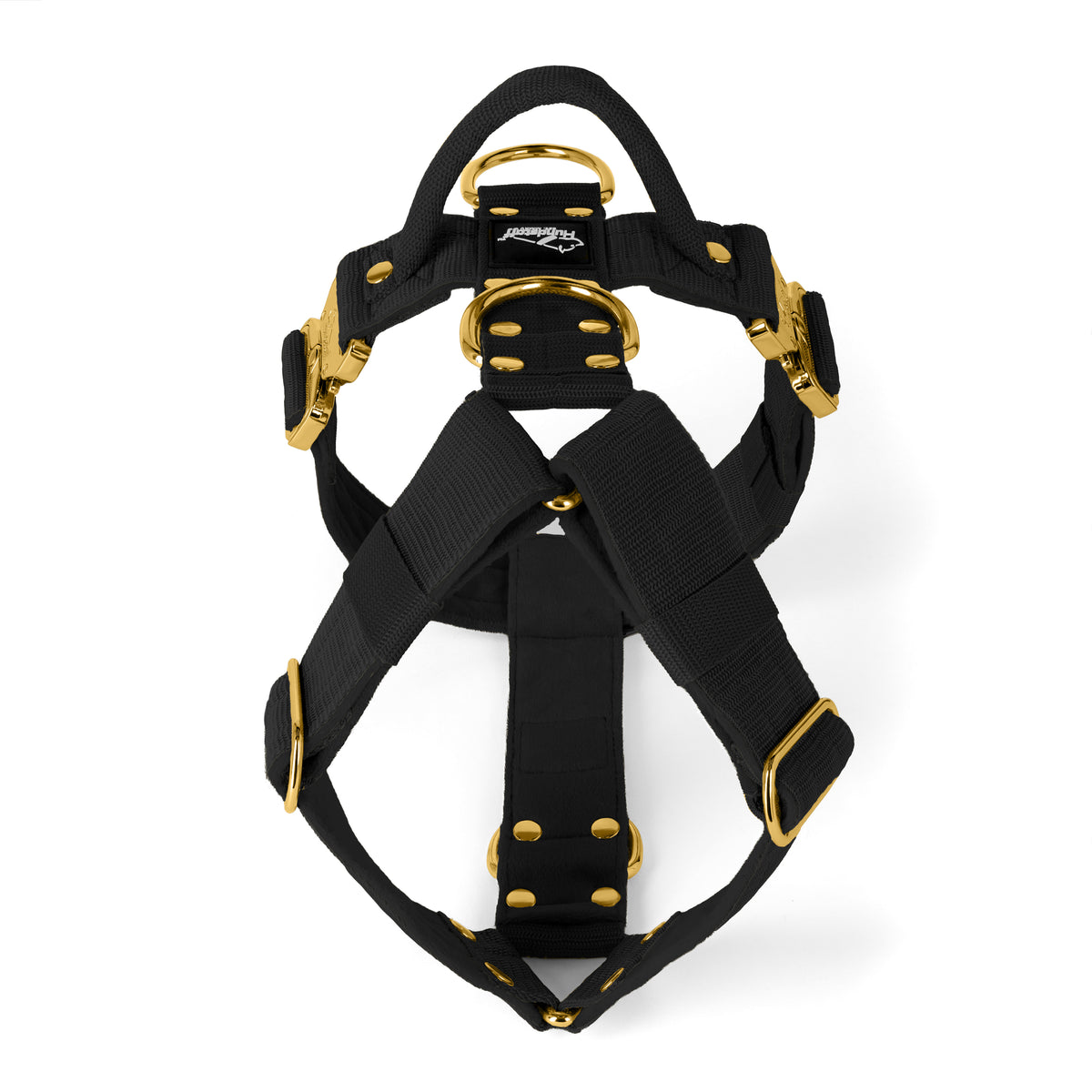 Easy Walk Extreme Gold Buckle Black - Arnés con hebilla de cierre rápido