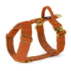 Easy Walk Extreme Gold Buckle Burned Orange - Arnés con cierre rápido