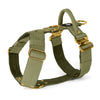 Easy Walk Extreme Gold Buckle Olive Green - Arnés con cierre rápido