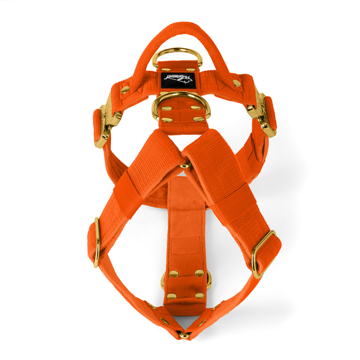 Easy Walk Extreme Gold Buckle Plum - Arnés con cierre rápido