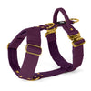 Easy Walk Extreme Gold Buckle Plum - Arnés con cierre rápido