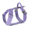 Easy Walk Extreme Baby Purple - Arnés con cierre de hebilla rápida