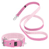 Active Set Baby Pink - Collar y correa activos