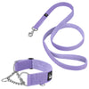Martingale Chain Set Baby Purple - Collar de media correa y correa