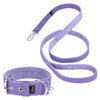 Active Set Baby Purple - Collar y correa activos