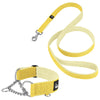 Martingale Chain Set baby amarillo - Collar de media correa y correa