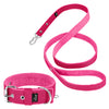 Active Set Rosa - Collar y correa Active